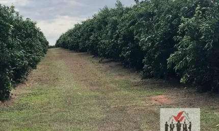 Fazenda à venda na Rua Nove de Julho, Centro, Marília