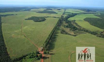 Fazenda à venda no Centro, Tocantins 