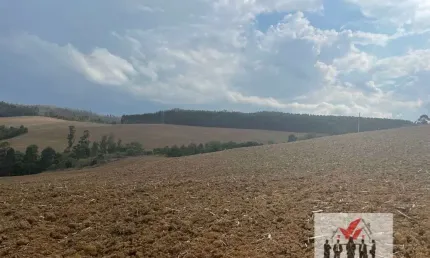 Fazenda à venda no bairro Centro - Poços de Caldas/MG