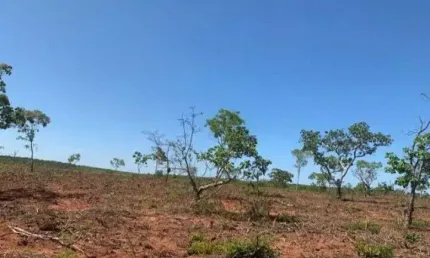 Fazenda à venda no bairro Centro - Brasilândia de Minas/MG