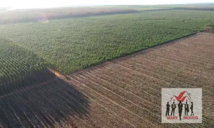 Fazenda à venda no Centro, Buritizeiro 