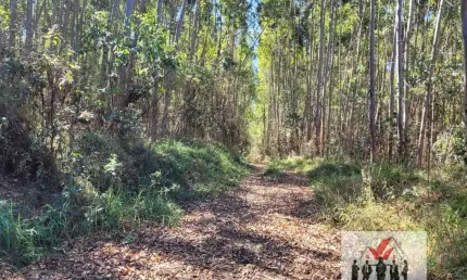 Fazenda à venda no Centro, Poços de Caldas 