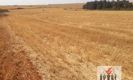 Fazenda à venda no Centro, Sacramento 