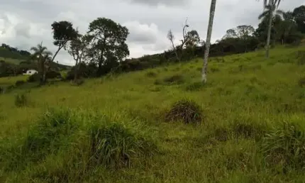 Fazenda à venda no Centro, Campestre 
