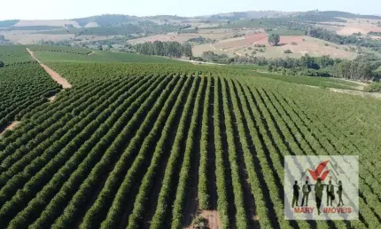 Fazenda à venda no Centro, Elói Mendes 