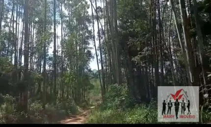 Fazenda à venda no Centro, Taubaté 