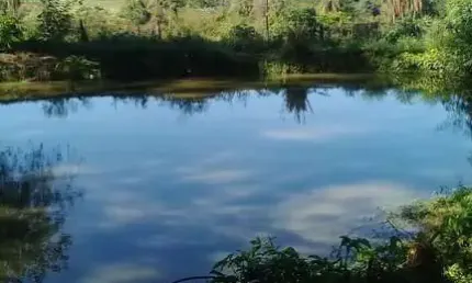 Fazenda à venda no bairro Jardim Planalto - Jaguariúna/SP