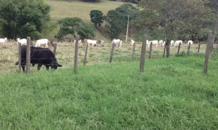 Fazenda à venda no Centro, Vargem Grande do Sul 
