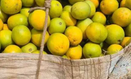 Fazenda à venda no Centro, Marília 