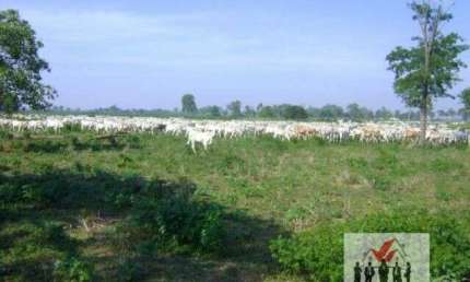 Fazenda à venda na Estrada Transpantaneira, Zona Rural, Poconé