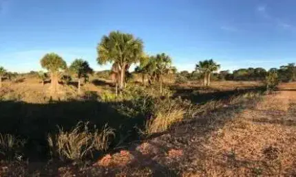 Fazenda à venda no Centro, Buritizeiro 
