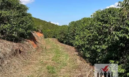 Fazenda à venda na Avenida Coronel Cândido de Castro Coutinho, Centro, Pouso Alegre
