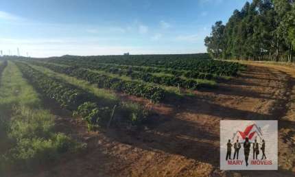 Fazenda à venda no Centro, Araxá 