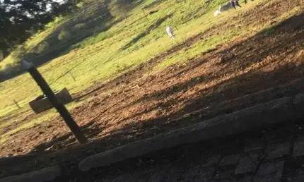 Fazenda à venda no bairro Centro - Bragança Paulista/SP