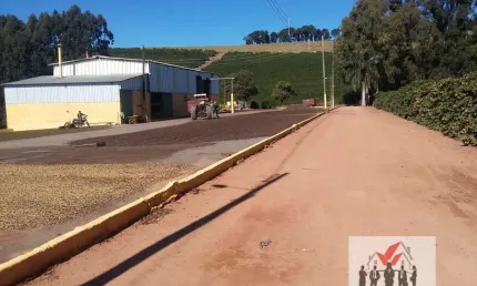 Fazenda à venda no Centro, Campanha 