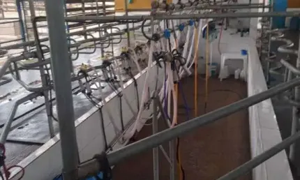 Fazenda à venda no bairro Centro - São Gonçalo do Sapucaí/MG