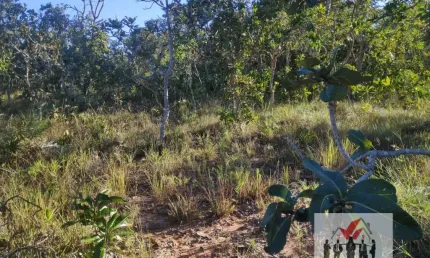Fazenda à venda no Centro, Buritizeiro 