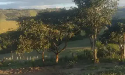 Fazenda à venda no Centro, Caldas 