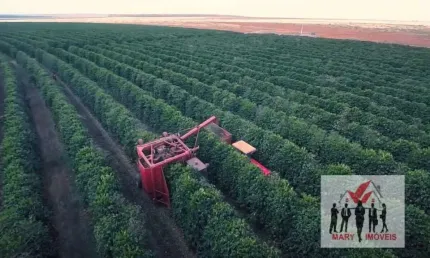 Fazenda à venda no Centro, Buritizeiro 