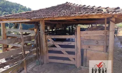 Fazenda à venda no Centro, Caldas 