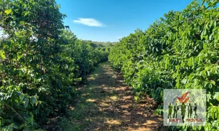 Fazenda à venda no Centro, Ilicínea 