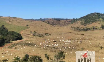 Fazenda à venda no Centro, Caconde 