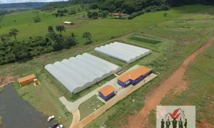 Fazenda à venda no Centro, São Simão 
