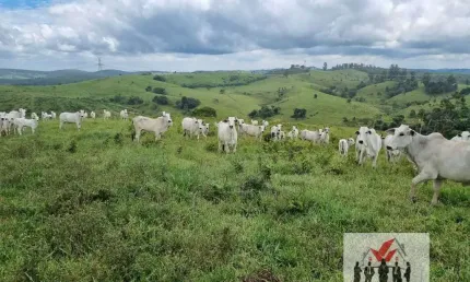 Fazenda à venda no Centro, Jacutinga 