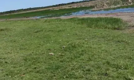 Fazenda à venda no Centro, Campos dos Goytacazes 