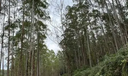 Fazenda à venda no Centro, Sorocaba 