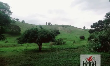 Fazenda à venda no bairro Centro - Soledade de Minas/MG