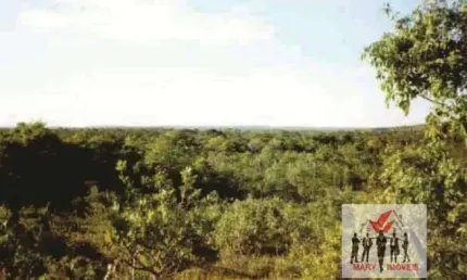 Fazenda à venda no Centro, Pintópolis 