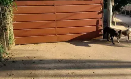 Chácara à venda no bairro Centro - Bandeira do Sul/MG
