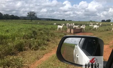 Fazenda à venda no bairro Setor Central - Araguaína/TO
