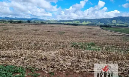 Fazenda à venda no Centro, Pouso Alegre 
