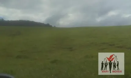 Fazenda à venda no Centro, Caconde 
