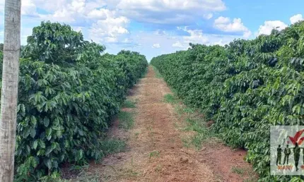 Fazenda à venda no Centro, Botelhos 