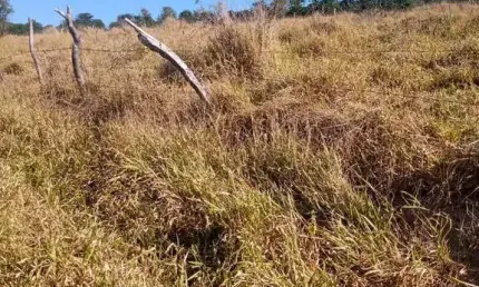 Fazenda à venda na Área Rural de Poços de Caldas, Poços de Caldas 