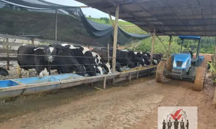 Sítio à venda no bairro Centro - Poços de Caldas/MG