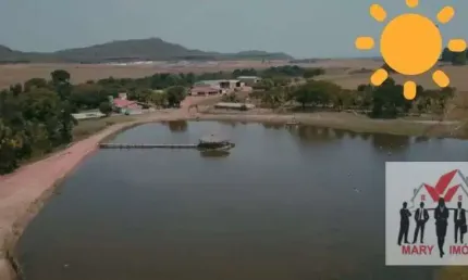 Fazenda à venda no Centro, Tocantins 