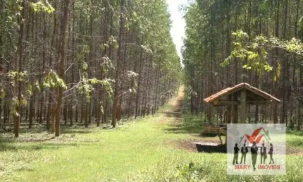 Fazenda à venda no bairro Área Rural de Unaí - Unaí/MG