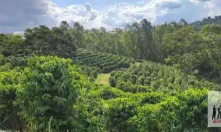 Fazenda à venda no Centro, Botelhos 