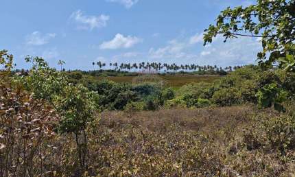 LOTE DE TERRENO EM  PRAIA DOS COQUEIROS PITIMBU B14