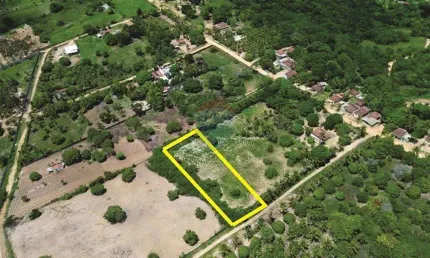 Mini Granja Encantadora em Conde - PB: Oportunidade Única de Lazer e Qualidade de Vida!