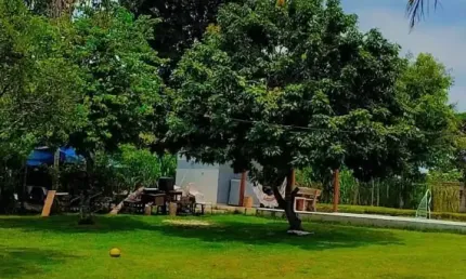 Chácara / sítio com 1 quarto à venda na Praça Inaiá, 2, Cambolo, Porto Seguro