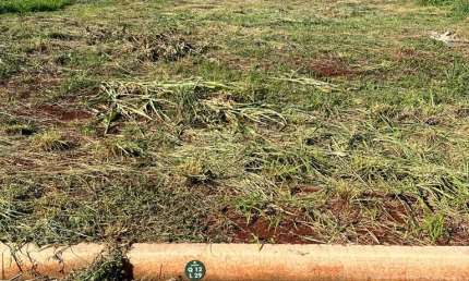 Terreno à venda no Recreio Anhangüera, Ribeirão Preto 