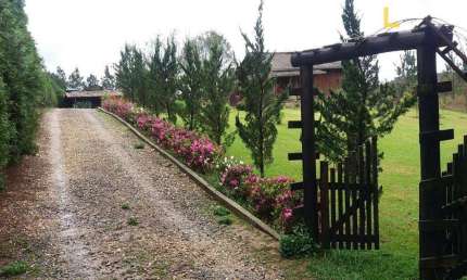 Chácara / sítio com 3 quartos à venda na Zona Rural, Campo Alegre 