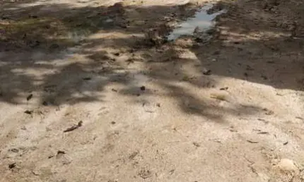 Terreno para Venda em Caraguatatuba, Balneário dos Golfinhos