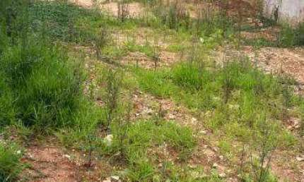 Terreno à venda, 400 m² por R$ 1.250.000 - Campo Belo - ZM
