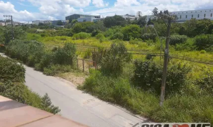 Oportunidade - terreno cotia - 10.000 m² - 150 metros de frente